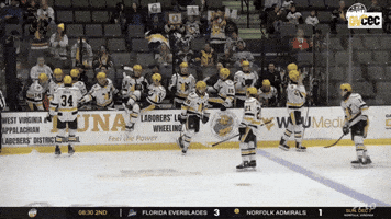 Wheeling Nailers GIF