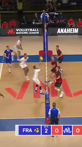 Germany Sport GIF by Volleyball World
