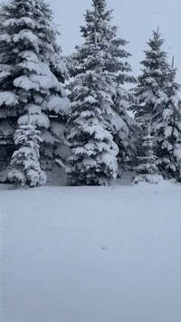 Heavy Snow Blankets Southern Montana