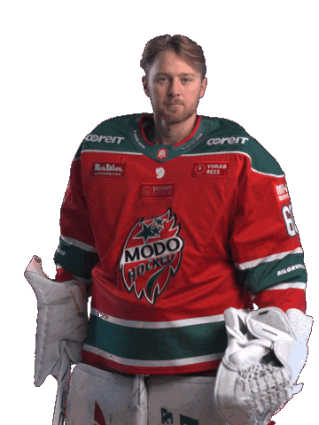 Sticker by MoDo Hockey