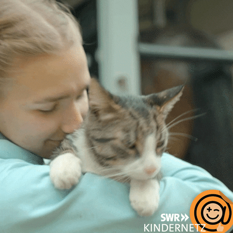 Cats Cuddle GIF by SWR Kindernetz