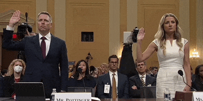Jan 6 Hearing GIF by GIPHY News