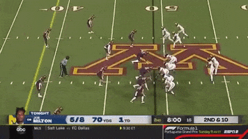 Michigan Football GIF