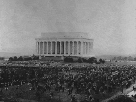 Lincoln Memorial Vintage GIF by US National Archives