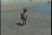Beach Day GIF