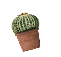 Cactus Houseplant Sticker by Hortusamsterdam