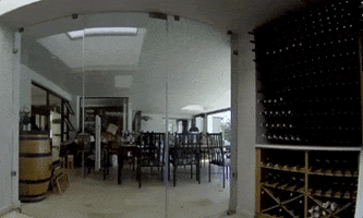 Longhouse Wines GIF