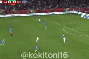 Algeria Dz GIF