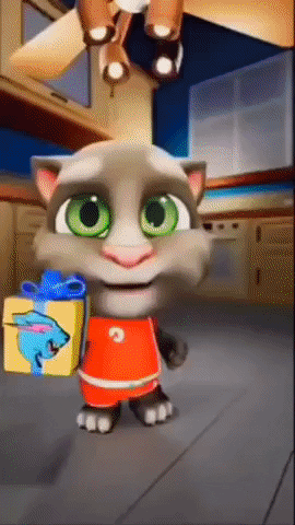 Cats GIF