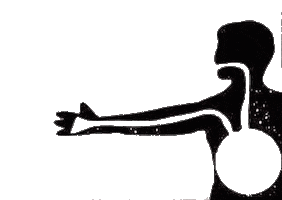 Bjj Acai Sticker by Ahjo Training Center