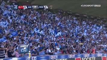 Proud Top 14 GIF