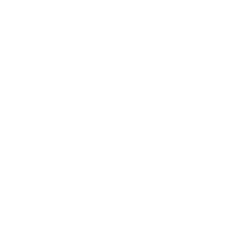 Tulane Graduation Sticker by Tulane Law School