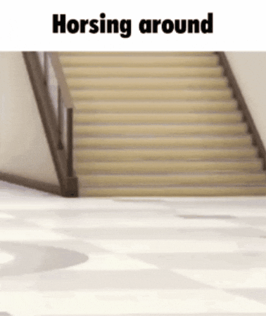 Horse Horsing Around GIF