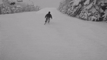 Ski Aaron GIF