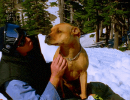 Peterline GIF by Forum Snow