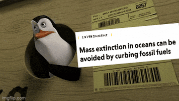 Madagascar gif. One of the penguins from the movie "Madagascar" pokes his head through a hole in the side of a box, tapping his fin against the side of the box hastily. On the side of the box, text reads, "Mass extinction in oceans can be avoided by curbing fossil fuels."