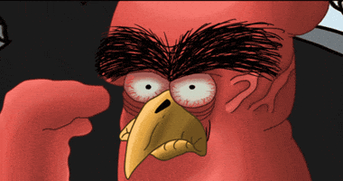 Angry Birds What GIF