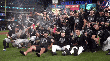Party Win GIF by MLB