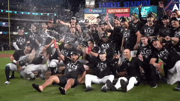 Party Win GIF by MLB