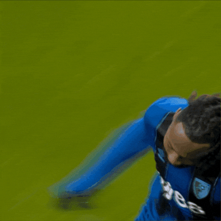 Premier League Football GIF by AFC Bournemouth