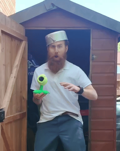 Pvz GIF