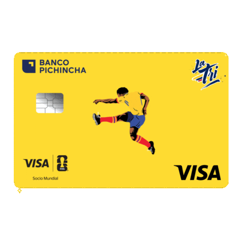 Ecuador Visa Sticker by Banco Pichincha