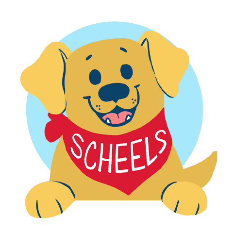 Sticker by Scheels