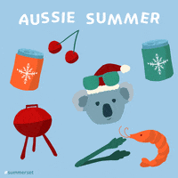 Southern Hemisphere Summer GIF by Ange Devery