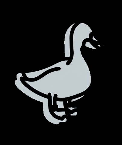 Blue Duck GIF by Tuesday Management