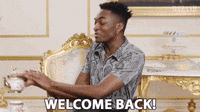 Welcome Back GIF by memecandy