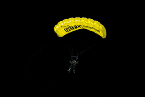 Go Fly Paraquedismo GIF