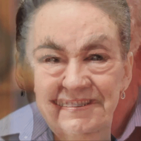 Novák Katalin GIF