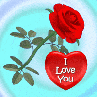 Red Heart GIFs