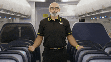 Spirit Airlines GIF