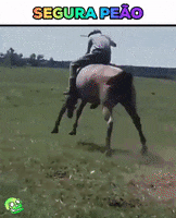Horse Knight GIF by Greenplace TV