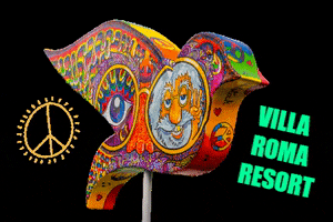 Villa Roma Resort GIF