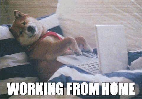 Working from home GIF