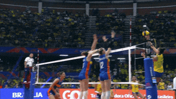 Brazil Cant Touch This GIF by Volleyball World
