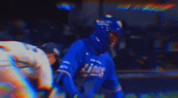 삼성라이온즈 GIF