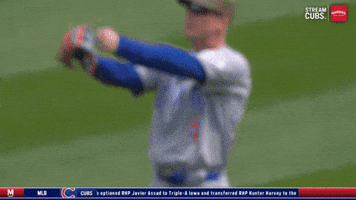 Chicago Cubs Boom GIF