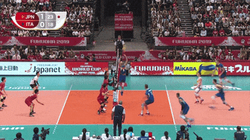 Japan Save GIF by Volleyball World