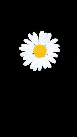 Flower GIF