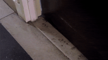 Watch Movies Online GIF
