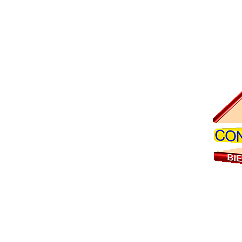 Consolitex Bienes Raices Sticker