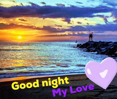 Good Night GIF