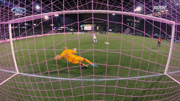 Portland Timbers GIF by ROOT SPORTS