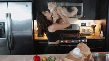 Over It Cat GIF by Megan Batoon