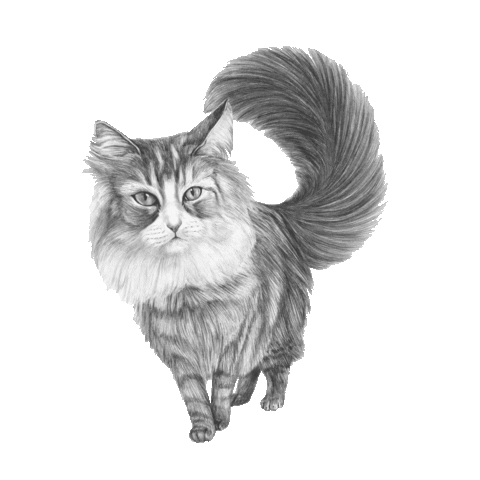 Cat Sticker by AniCura Nederland