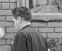 Desi Arnaz What GIF by CBS All Access