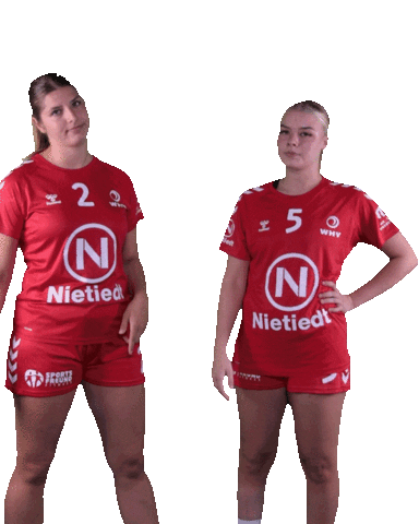 Wilhelmshaven Whv Sticker by whvhandball